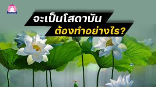 ธรรมะโลกทิพย์ EP.162 จะเป็นโสดาบันต้องทำอย่างไร ?