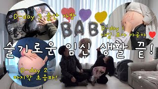 저 내일 애 낳으러 가요! 마지막 임산부 생활 끝내기 VLOG