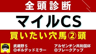 #1211【全頭診断 マイルCS 2022】狙いたい穴馬は２頭 にしちゃんねる 馬Tube