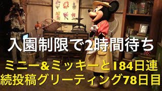 ミニー\u0026ミッキーと184日連続投稿グリーティング78日目〜入園制限で2時間待ち〜 my Disney tour day 78 I meet minnie mouse \u0026 mickey mouse