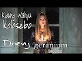 Dhevy Geranium - Kidung Wahyu Kolosebo | Dangdut [OFFICIAL]