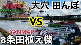 緊急事態石だらけ大穴田んぼに8条田植え機で挑む！この動画の前編で大石摘出した田んぼにヤンマーYR8DA GPS直進アシストで田植えしてみた！刺さるのか、刺さらないのか？