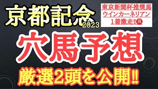 【京都記念2023】穴馬予想！阪神2200ｍ開幕週の条件で激走見込める2頭を厳選！その馬たちとは！？