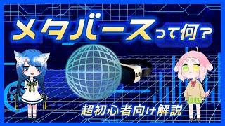 【解説動画】メタバースって何？超初心者向けに解説！【こなつ＆こはる】