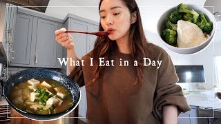 What I Eat in a Day 🇰🇷Easy Korean Recipes Pt. 1