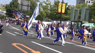 島根よさこい連　神在衆～２０１９ひろしまフラワーフェスティバル　きんさいYOSAKOI（パレード）