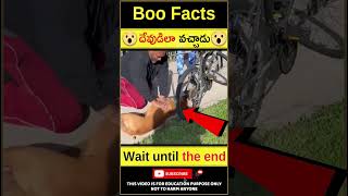 🙏దేవుడిలా వచ్చి కాపాడాడు❤️ dog cpr I am so emotional watching this #youtubeshorts #shorts