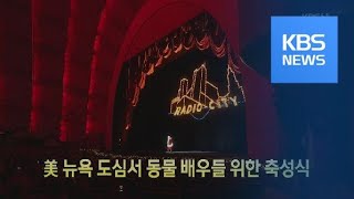 [클릭@지구촌] 미국 뉴욕 도심서 동물 배우들 위한 축성식 / KBS뉴스(News)