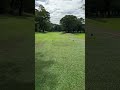 ショートホールでのobはきつい！ shorts ゴルフラウンド動画 ゴルフスイング golf