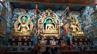 Golden temple, Coorg.  Buddhist temple,  OneCoorg