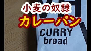 ホリエモンのパン「小麦の奴隷」のカレーパンを食べました