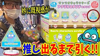 【サンリオ】スタンプハンギョドンを当てろ！これって○○と一緒…？【ガチャガチャ】