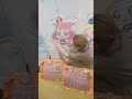 ズッ友カフェと太秦とプリストを巡ったプリキュア尽くしの1日🩷 プリキュア precure オタクの日常 アニオタ オタクvlog 推し活 ヲタクvlog 痛バ 痛バッグ