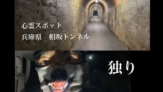 心霊スポット　兵庫県　相坂トンネル(怖い）/Japanese haunted place/ 灵异地点/용마랜드