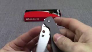 Spyderco Mantra 2 C203TIP Knife \