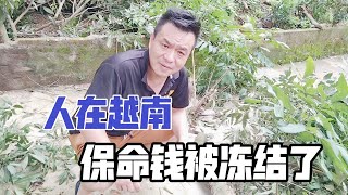 瞞著越南媳婦攢了幾萬私房錢，卻被銀行凍結了：那是我的保命錢！