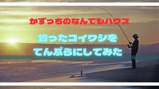 釣った小イワシをさばいててんぷらにしてみた～釣り場・神奈川県湯河原町福浦港～＃福浦港＃サビキ釣り＃2022年2月5日＃ウルメイワシ＃神奈川県湯河原町福浦港