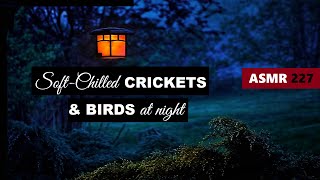 3 HOURS OF RELAXING SOFT CRICKETS & BIRD SOUNDS For Relaxing, Meditation, Studying or Sleep