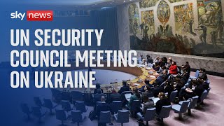 UN Security Council meeting on Ukraine