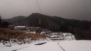 【永久保存版】夕方の飛騨路のチャイムが鳴る頃に❗️特急ひだ 富山 高山行 キハ85系 3+1+4両編成 JR東海 岐阜県