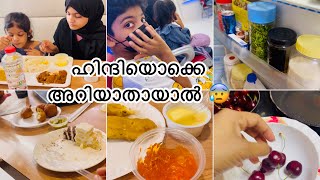 ഹിന്ദി അറിയാത്ത ഞാൻ 😇മക്കളെയും കൊണ്ട് ഹോസ്പിറ്റലിലേയ്ക്ക് 😓ഒറ്റയ്ക്കാന്ന് തോന്നിയാൽ പിന്നെ വല്ലാ..