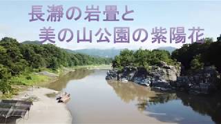 【長瀞:４K空撮】岩畳と美の山公園の紫陽花です