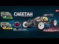 1:16 high speed car Brushed version GN-16201 Cheetah