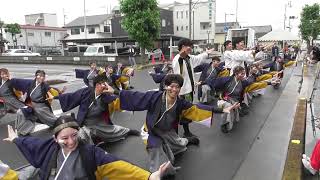 新・もみさんぽ　銭形よさこい（岡山うらじゃ連 環温）【香川県観音寺市】（令和６年・２０２４）