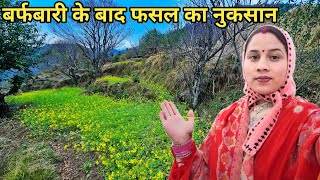 बर्फबारी के बाद होती हैं गाँव में इतनी समस्याएं |Preeti Rana |Pahadi lifestyle vlog |Triyuginarayan