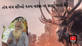 तंत्र मंत्र विद्या सीखे ૧૦૫ વર્ષ ના સાધુ પાસે થી શીખો બધું #youtuber #tantrik #childrens