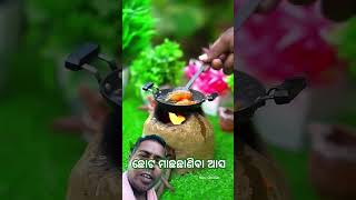 ଛୋଟ ମାଛ ଛାଣିବା ଆସ/small fish spry/short vedio