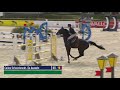 fape diva giguellerie z by diarado x feinschnitt 2011 @ csi1* toscana tour 2018 23 03 18