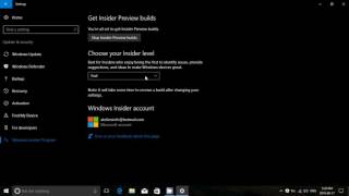 What are the differences between the Windows 10 Insider preview levels