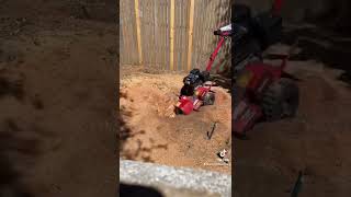 Stump grinding with Home Depot rental - Bradford pear stump grinding - toro stump grinder - DFW