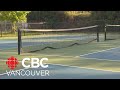 Pickleball court divides players and neighbours