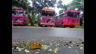 The Dam Rjini Bus. The Dam Rjini Bus.