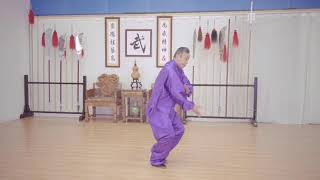 Bagua palms single forms exercies 8