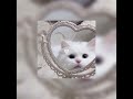 Meher Zain/ Good Day (Sped up) (Vocals Only) 🤍