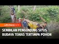 Tragedi Soppeng, Sembilan Pengunjung Tewas Tertimpa Pohon di Situs Budaya | Liputan 6