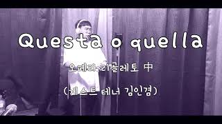 Questa o quella (오페라 리골레토 中) 게스트 테너 김인겸