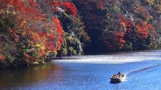 亀山湖 / 本州で一番遅い紅葉 （千葉県君津市） 2014年12月3日