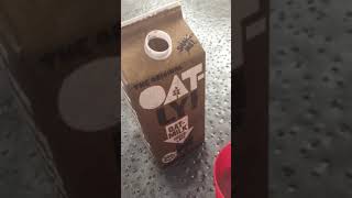 Stealing Adam’s Oat-Chocolate Milk