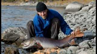 The Dream of Taimen Fishing. (Hucho Taimen)