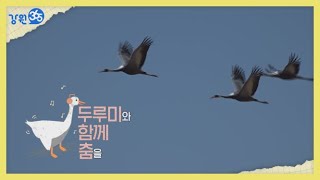 [강원365 보너스] 두루미 보러 철원에 오세요!