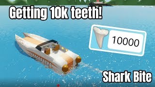 Sharkbiteteeth Videos 9tubetv - 