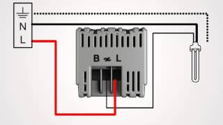 cablage ampoule FLUO eco variateur celiane de legrand avec la boutique du bricoleur