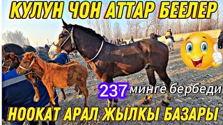 НООКАТ АРАЛ ЖЫЛКЫ БАЗАРЫ ЧОН АТТАР БЕЕЛЕР КУЛУНДАР 237 МИНГЕ БЕРБЕДИ