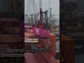 seaman sealife merchantships containership navigation engineering discharging ports ship