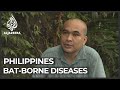 Philippines takes steps to prevent bat-borne diseases