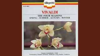 Concerto for 4 Violins in B Minor, Op. 3 No. 10, RV 580: I. Allegro assai